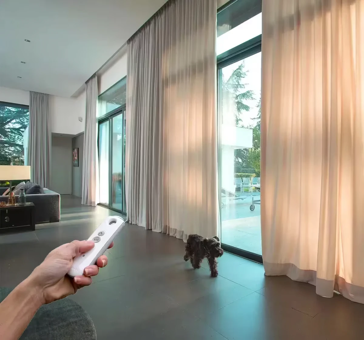 Motorized Curtain